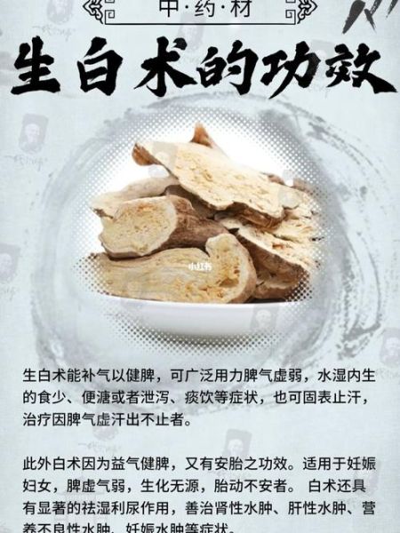 白术孕妇可以吃吗_白术孕妇用量与禁忌-第3张图片-星辰妙记