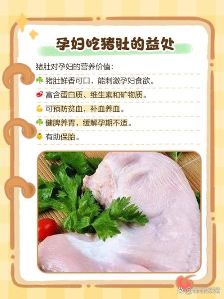 孕妇吃猪肚有什么好处_孕妇吃猪肚对胎儿好吗-第1张图片-星辰妙记