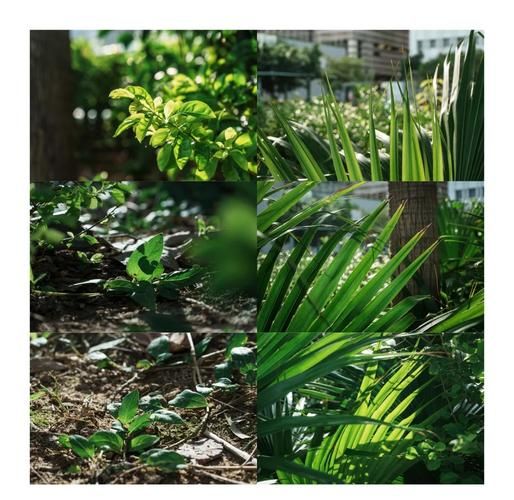 索尼18200镜头怎么样_适合拍什么题材-第3张图片-星辰妙记 索尼18200镜头怎么样_适合拍什么题材-第3张图片-星辰妙记