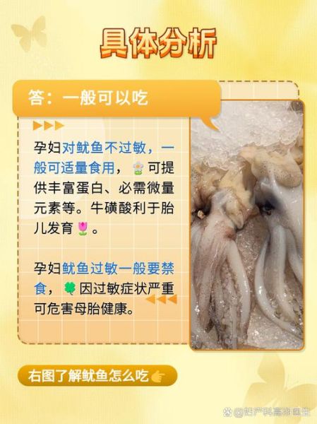 孕妇可以吃鱿鱼吗_孕期吃鱿鱼注意事项-第2张图片-星辰妙记