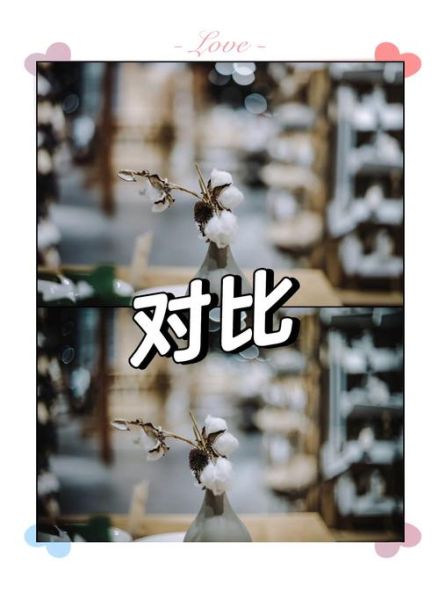 德国镜头哪个好_徕卡蔡司对比评测-第2张图片-星辰妙记