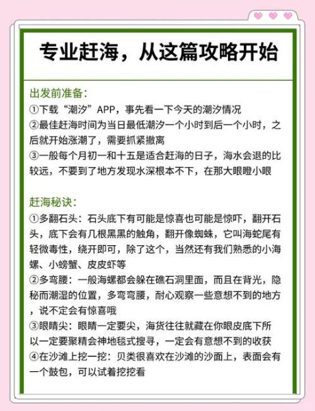 赶海作文600字怎么写_赶海作文600字写作技巧-第2张图片-星辰妙记 赶海作文600字怎么写_赶海作文600字写作技巧-第2张图片-星辰妙记