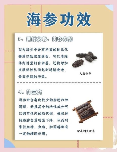 孕妇吃海参对胎儿有什么好处_海参对胎儿发育真的好吗-第3张图片-星辰妙记