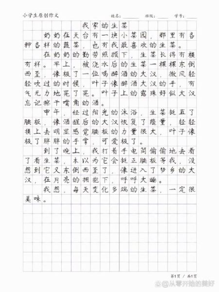优秀作文大全300字怎么写_如何写出高分300字作文-第2张图片-星辰妙记