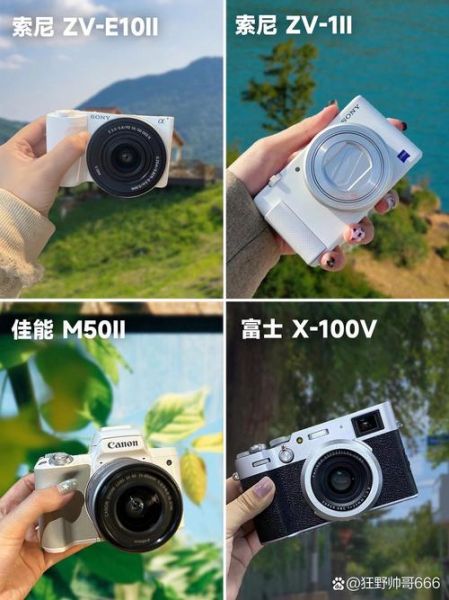 莱卡镜头和索尼哪个好_画质与性价比全面对比-第2张图片-星辰妙记 莱卡镜头和索尼哪个好_画质与性价比全面对比-第2张图片-星辰妙记