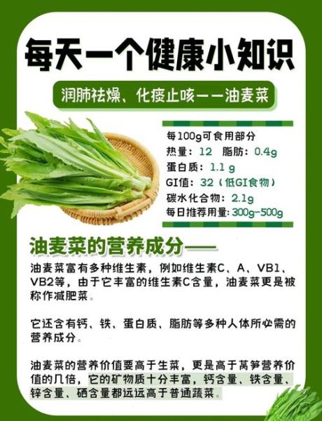 油麦菜孕妇能吃吗_孕妇吃油麦菜的好处与禁忌-第1张图片-星辰妙记