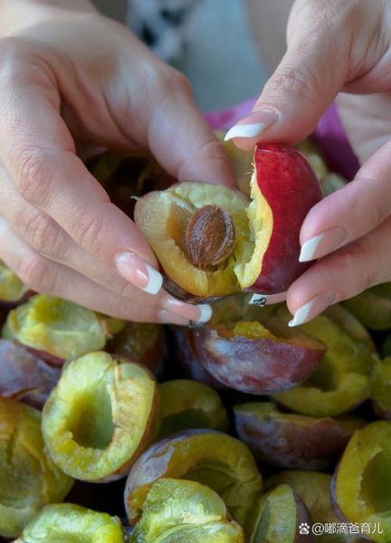 孕妇可以吃西梅吗_西梅对胎儿的影响-第2张图片-星辰妙记