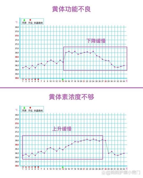 孕妇正常体温范围是多少_怀孕后体温会升高吗-第1张图片-星辰妙记