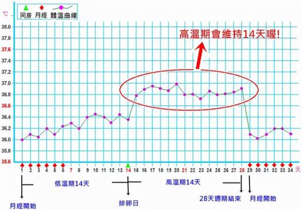 孕妇正常体温范围是多少_怀孕后体温会升高吗-第3张图片-星辰妙记