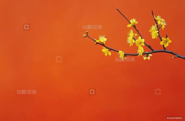 橙色镜头怎么调_橙色镜头适合拍什么-第3张图片-星辰妙记 橙色镜头怎么调_橙色镜头适合拍什么-第3张图片-星辰妙记