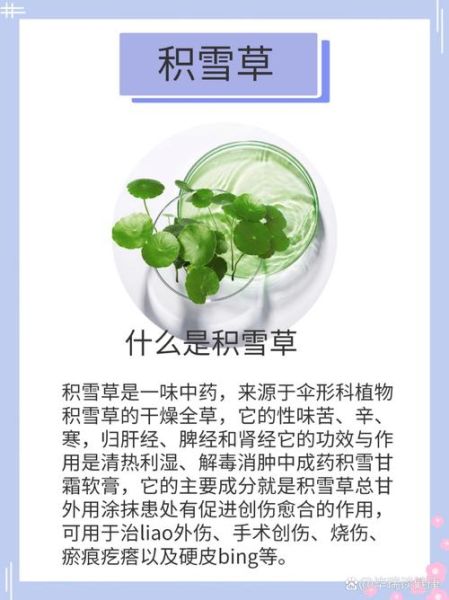 积雪草孕妇可以用吗_积雪草成分安全吗-第1张图片-星辰妙记 积雪草孕妇可以用吗_积雪草成分安全吗-第1张图片-星辰妙记
