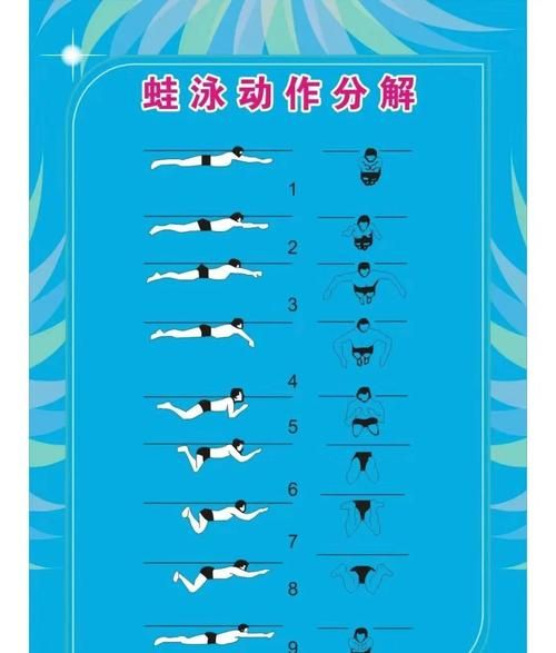 游泳初学者怎么学_游泳多久能学会-第2张图片-星辰妙记 游泳初学者怎么学_游泳多久能学会-第2张图片-星辰妙记