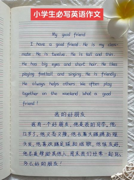 how_to_describe_my_best_friend_in_English_essay-第2张图片-星辰妙记 how_to_describe_my_best_friend_in_English_essay-第2张图片-星辰妙记
