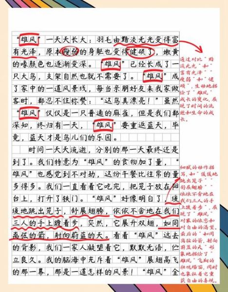 初三语文作文怎么写_中考作文提分技巧-第2张图片-星辰妙记 初三语文作文怎么写_中考作文提分技巧-第2张图片-星辰妙记