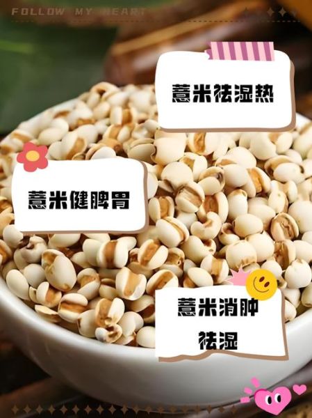 孕妇能吃薏米吗_薏米对孕妇的影响-第3张图片-星辰妙记