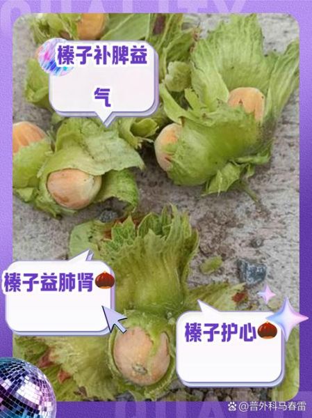 孕妇可以吃榛子吗_孕期吃榛子注意事项-第3张图片-星辰妙记 孕妇可以吃榛子吗_孕期吃榛子注意事项-第3张图片-星辰妙记