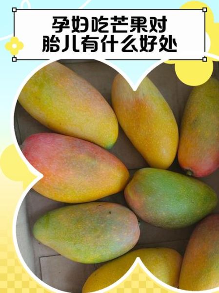 孕妇可以吃芒果吗_对胎儿有影响吗-第2张图片-星辰妙记 孕妇可以吃芒果吗_对胎儿有影响吗-第2张图片-星辰妙记