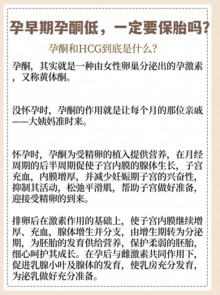 孕酮低怎么办_孕妇孕酮低如何保胎-第1张图片-星辰妙记
