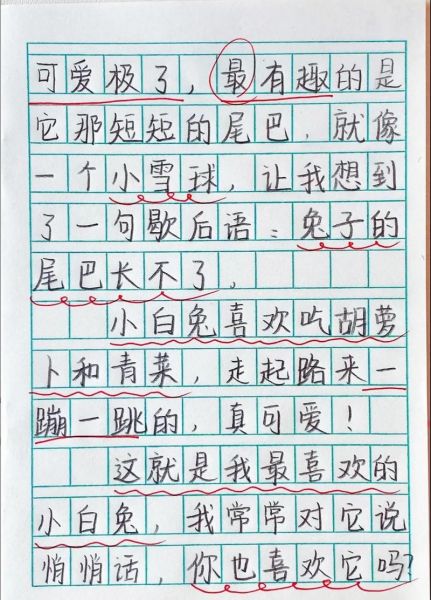 二年级优秀作文怎么写_小学生作文范例有哪些-第2张图片-星辰妙记