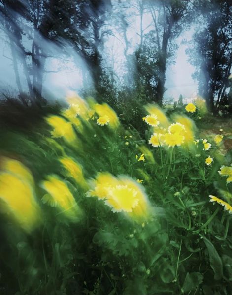 湿点镜头是什么_湿点镜头怎么拍-第1张图片-星辰妙记 湿点镜头是什么_湿点镜头怎么拍-第1张图片-星辰妙记