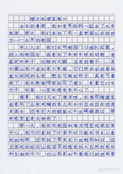 300字作文怎么写_小学生300字作文写作技巧-第1张图片-星辰妙记