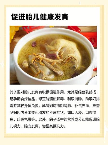 孕妇能吃鸽子吗_孕妇吃鸽子的好处与禁忌-第3张图片-星辰妙记 孕妇能吃鸽子吗_孕妇吃鸽子的好处与禁忌-第3张图片-星辰妙记