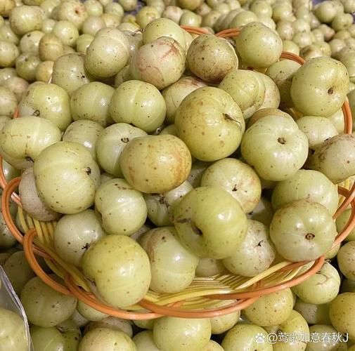 孕妇能吃油柑吗_油柑对胎儿有影响吗-第3张图片-星辰妙记 孕妇能吃油柑吗_油柑对胎儿有影响吗-第3张图片-星辰妙记