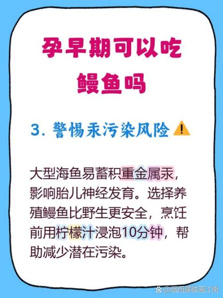 孕妇可以吃鳗鱼吗_孕期吃鳗鱼安全吗-第1张图片-星辰妙记 孕妇可以吃鳗鱼吗_孕期吃鳗鱼安全吗-第1张图片-星辰妙记