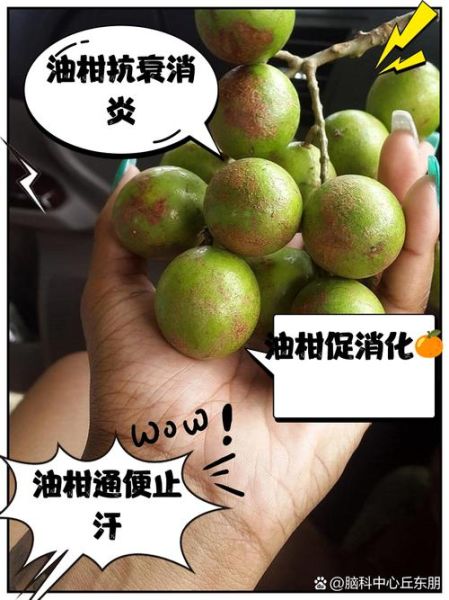 孕妇能吃油柑吗_油柑对胎儿有影响吗-第2张图片-星辰妙记 孕妇能吃油柑吗_油柑对胎儿有影响吗-第2张图片-星辰妙记