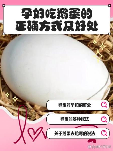 孕妇吃鹅蛋的正确方法_鹅蛋一天吃几个最好-第3张图片-星辰妙记