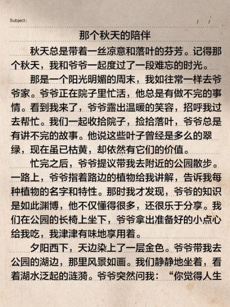 写事的优秀作文怎么写_如何把事情写得生动感人-第2张图片-星辰妙记