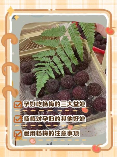 孕妇吞了杨梅核怎么办_对胎儿有影响吗-第1张图片-星辰妙记