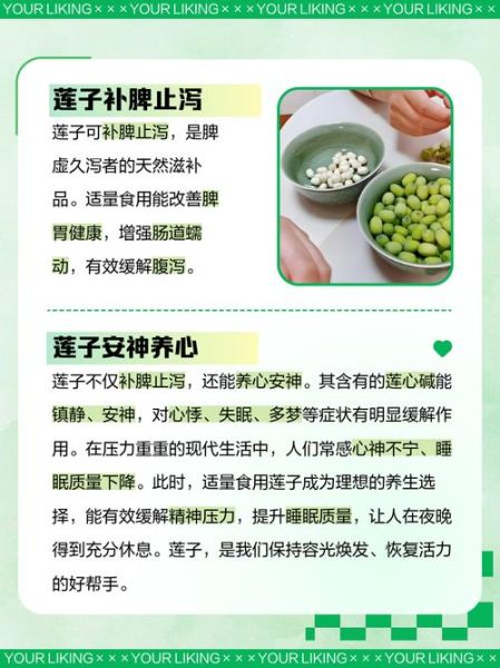 孕妇吃莲子对胎儿好吗_孕妇吃莲子的好处与禁忌-第3张图片-星辰妙记