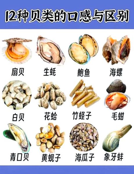 孕妇能吃贝壳类海鲜吗_孕妇吃贝类对胎儿好吗-第1张图片-星辰妙记