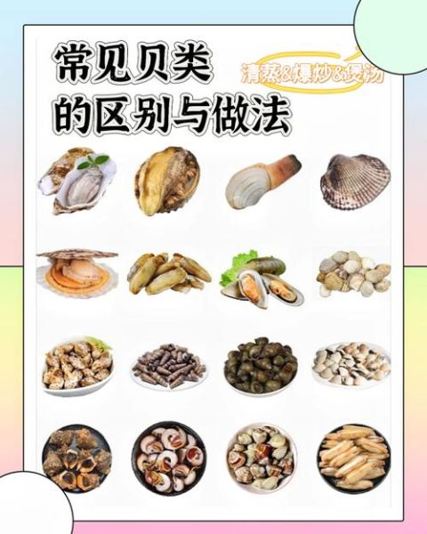 孕妇能吃贝壳类海鲜吗_孕妇吃贝类对胎儿好吗-第2张图片-星辰妙记