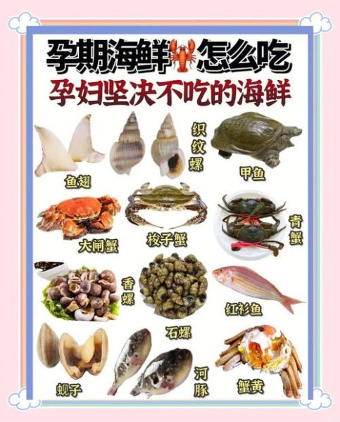 孕妇能吃贝壳类海鲜吗_孕妇吃贝类对胎儿好吗-第3张图片-星辰妙记