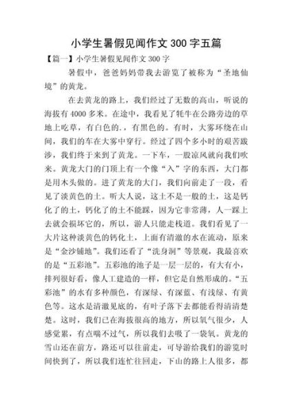 暑假见闻作文怎么写_如何写出高分暑假见闻-第3张图片-星辰妙记