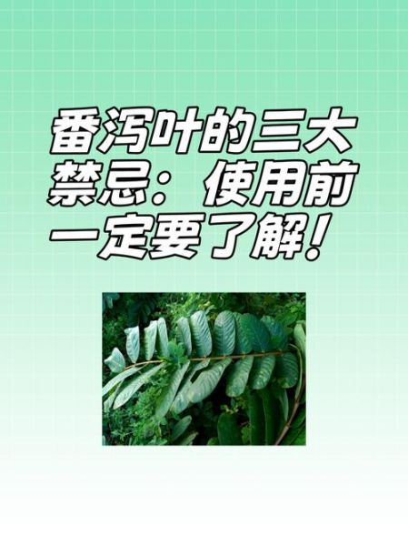 番泻叶孕妇可以喝吗_孕期便秘喝番泻叶安全吗-第1张图片-星辰妙记